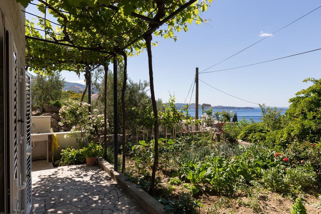 Apartments Olive Mlini Exterior photo